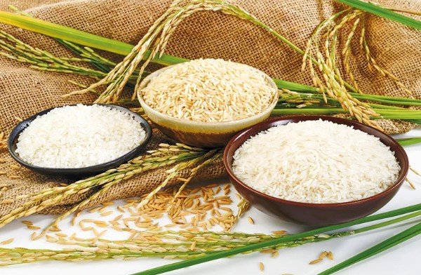 Rice Export